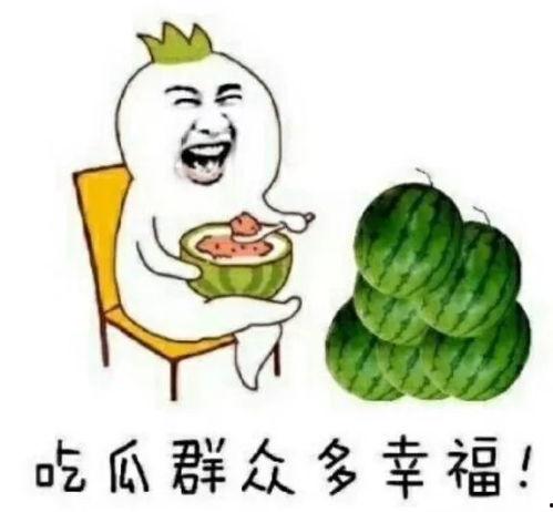 娱乐都是吃瓜,瓜田里的欢乐与八卦